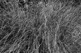 /album/nikon-1-j-5-camera-review/dsc-0134-7426-jpg/